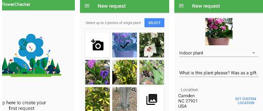 Aplicații de recunoscut plante Android sau iPhone FlowerChecker