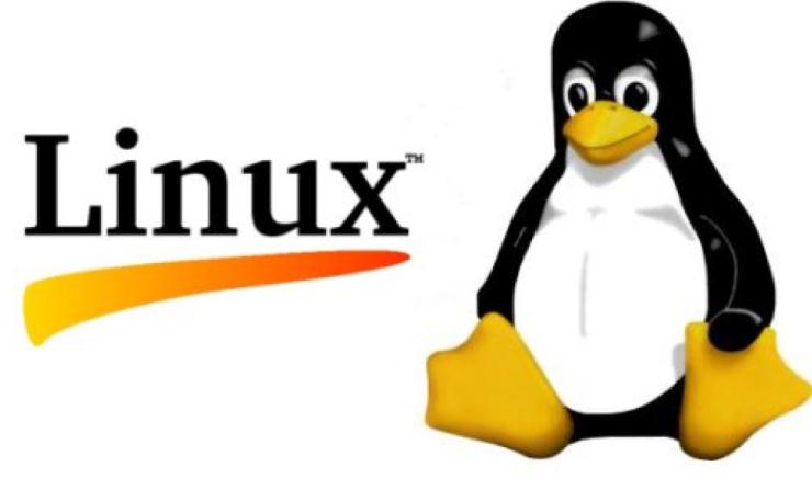 Programe pentru Linux Ubuntu