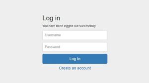 Ce înseamnă username în română?