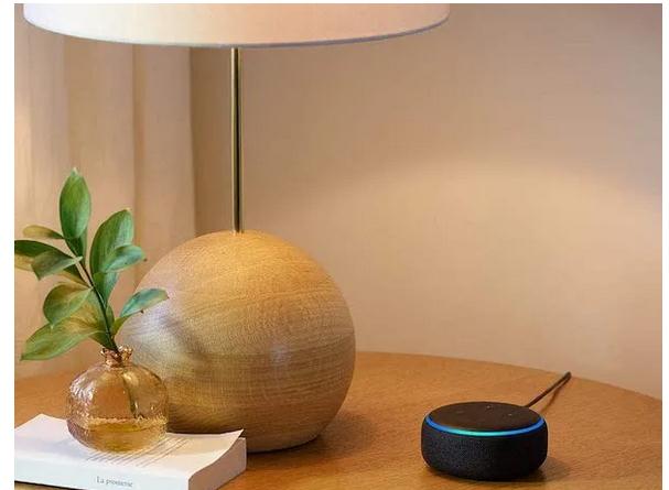 Repornire boxă Amazon Echo Dot