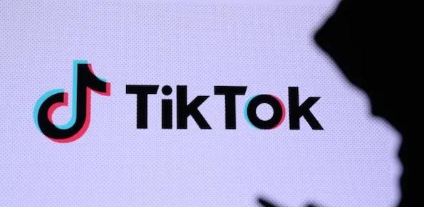 Descarcă videoclipuri TikTok pe PC