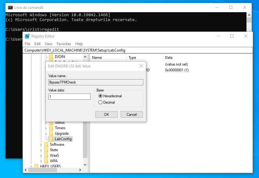 Eliminare controlul TPM Windows 11
