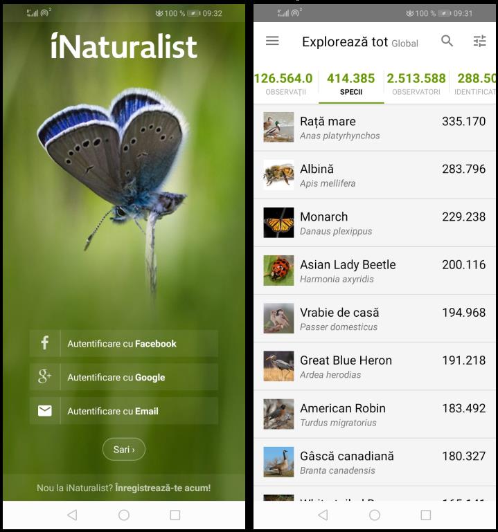 iNaturalist recunoașterea insectelor